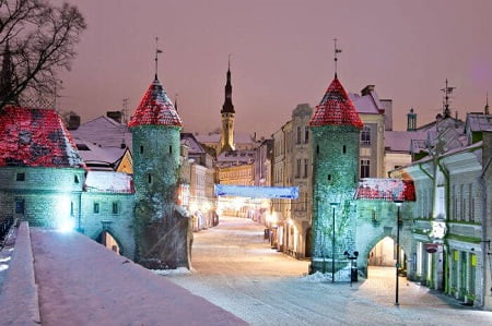 مهاجرت کاری به استونی