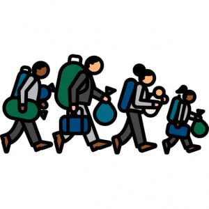 کلاهبرداری از متقاضیان مهاجرت