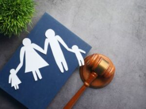 دادگاه خانواده شمال تهران وکیل دادگاه خانواده وکیل طلاق