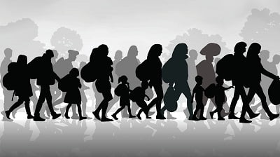 وکیل شکایت از موسسه مهاجرتی کلاهبردار