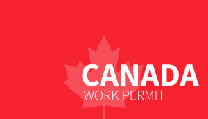 انواع مجوز کار کانادا