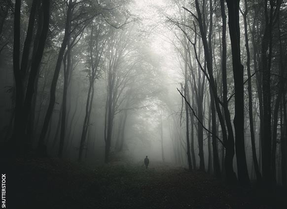 چگونه یک مرده زنده شد؟