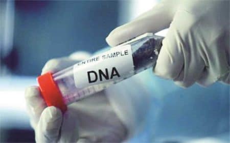 دعوای اثبات نسب