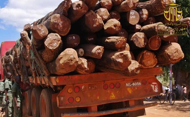 جرم قاچاق چوب